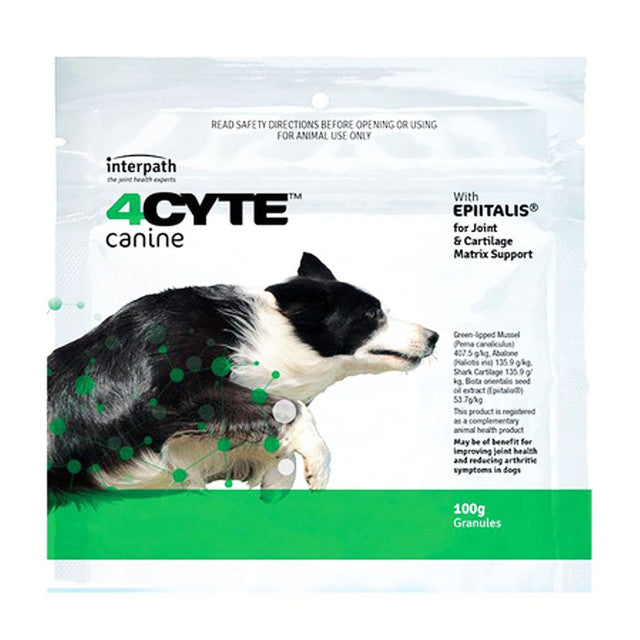 4cyte sales canine 100g