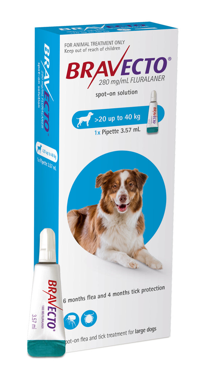 Bravecto for Large Dog Flea Treatment 20-40kg Spot on