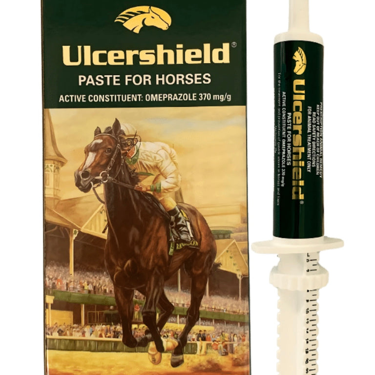 Ulcershield Paste for Horses 33g x 6 - Everyday low price – PillDrop Pets