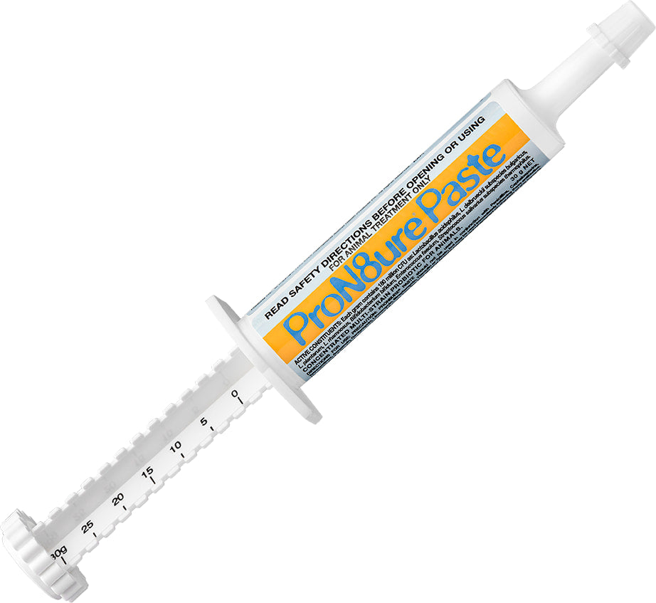 PRON8URE PASTE 30G