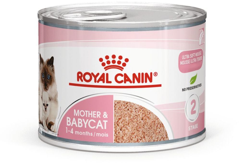 Royal canin mother & babycat mousse 195g can