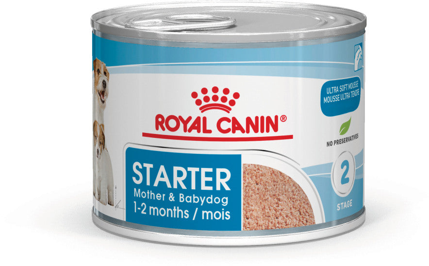 R/C DOG STARTER MOUSSE 195G EA