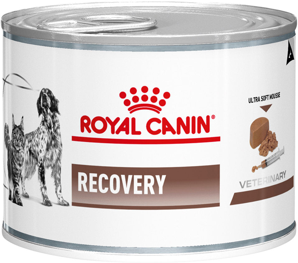 Royal canin vet cat & dog recovery mousse 195g can