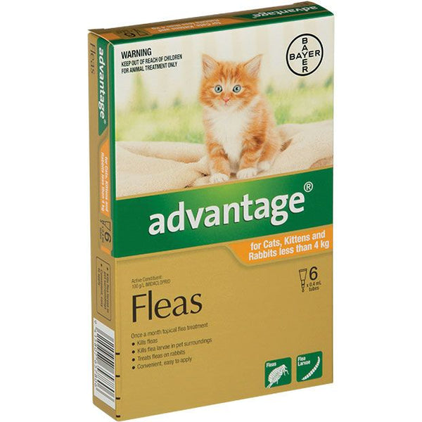 Advantage Kittens/Small Cats <4kg 6-Pack