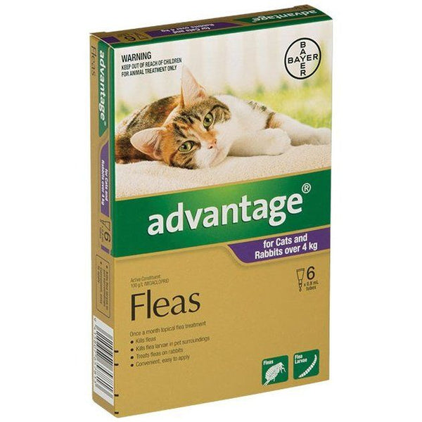 Advantage Large Cats >4kg 6-Pack