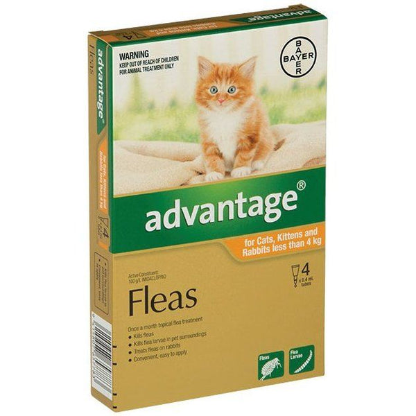 Advantage Kittens/Small Cats <4kg 4-Pack