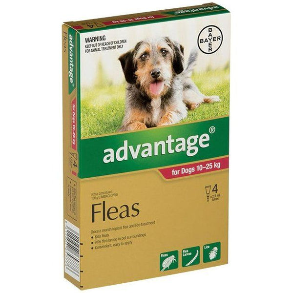 Advantage Large Dog 10-25kg 4-Pack (ADVA 03)