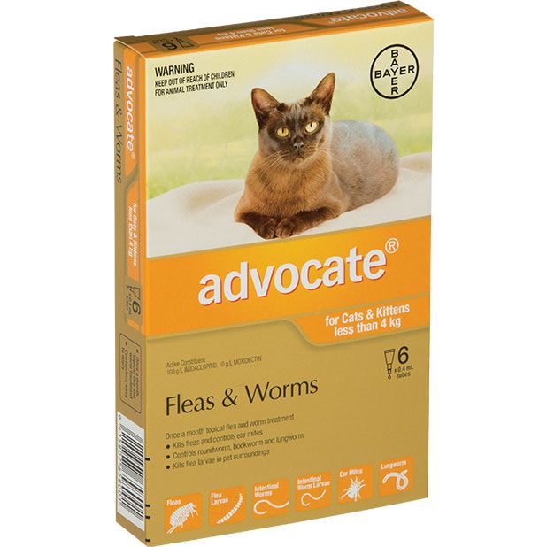 ADVOCATE Kittens/Small Cats <4kg 6-Pack
