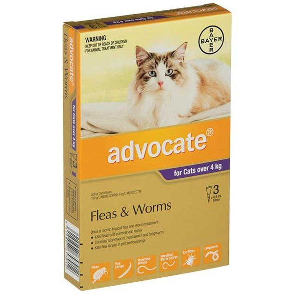 ADVOCATE Cat Large >4kg 3-Pack