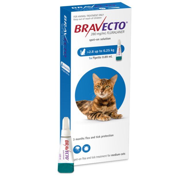 Bravecto nz on sale