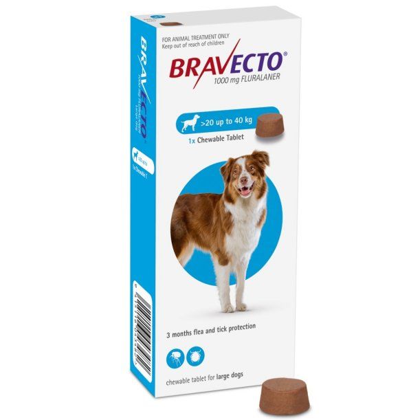 Bravecto for Large Dog Flea Treatment 20-40kg Chew