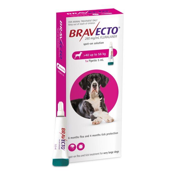 Bravecto Spot-on X-Large Flea Treatment for Dogs (40-56kg)