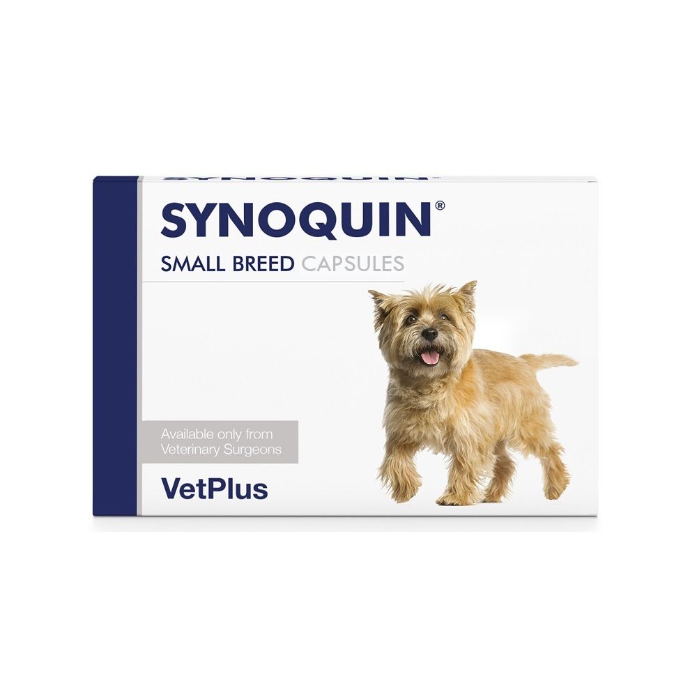 Synoquin For Small Dogs 30 CAPSULES