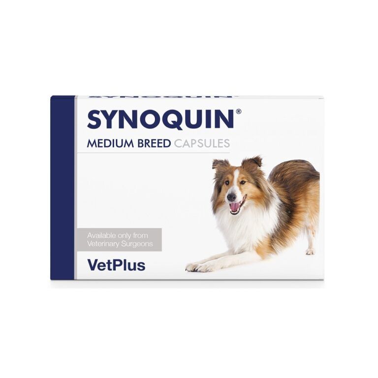 Synoquin For Medium Dogs 90 CAPSULES