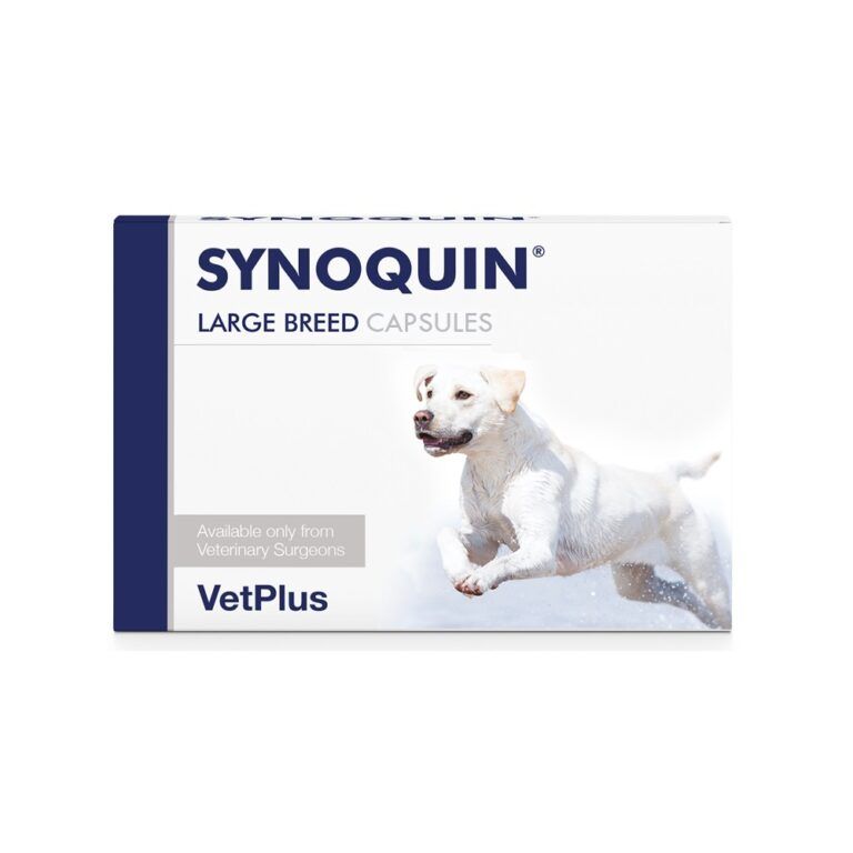 Synoquin For Large Dogs 30 CAPSULES