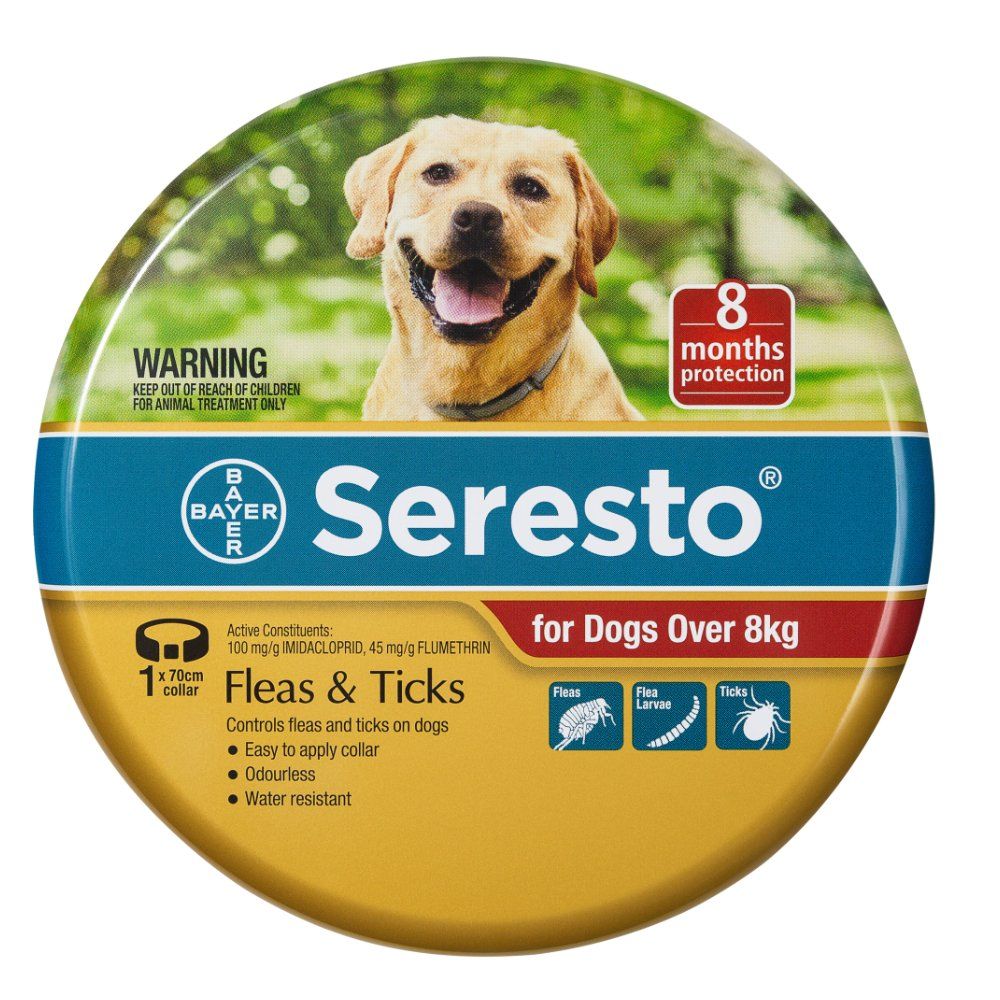 Cheap seresto flea collar clearance