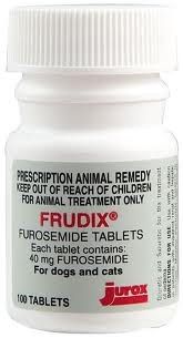 Frudix Furosemide 40mg X Single Tablet | Prescription Required